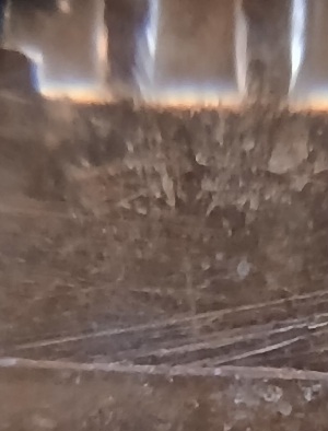 1972-Lincoln-Memorial-Cent-Looks-Like-The-Memorial-Steps-Misplaced