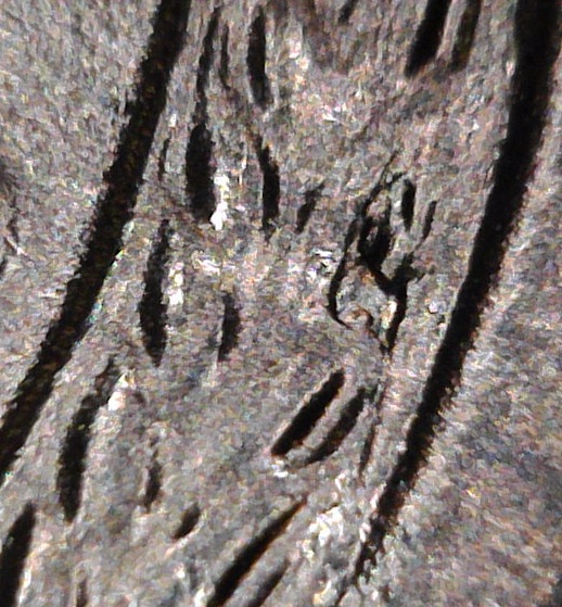 1954-S-BU-Wheat-Skull-Crack-Die-Chip-Etc