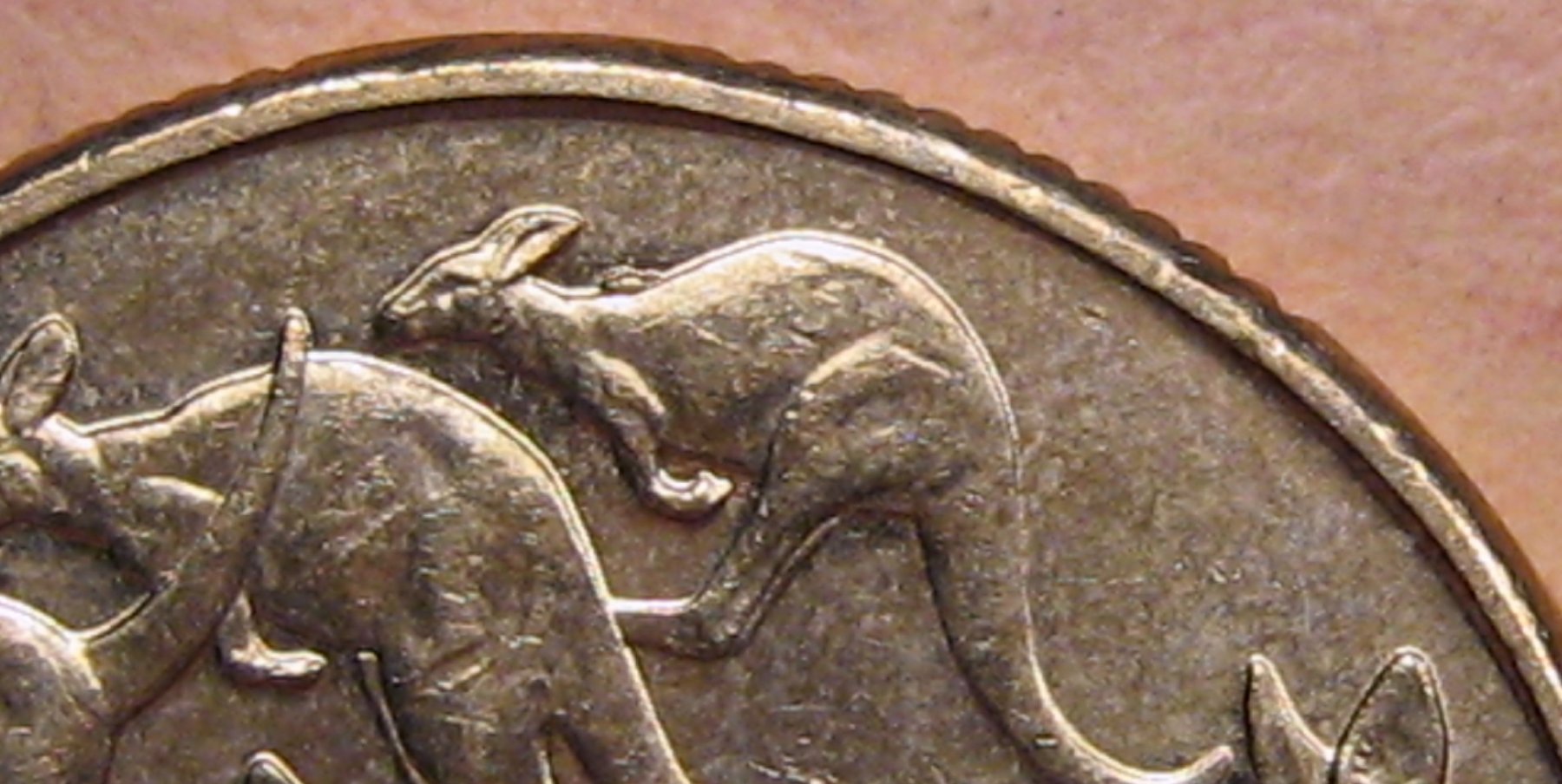 Australian-2019-Competition-1-Dollar-Mint-Errors