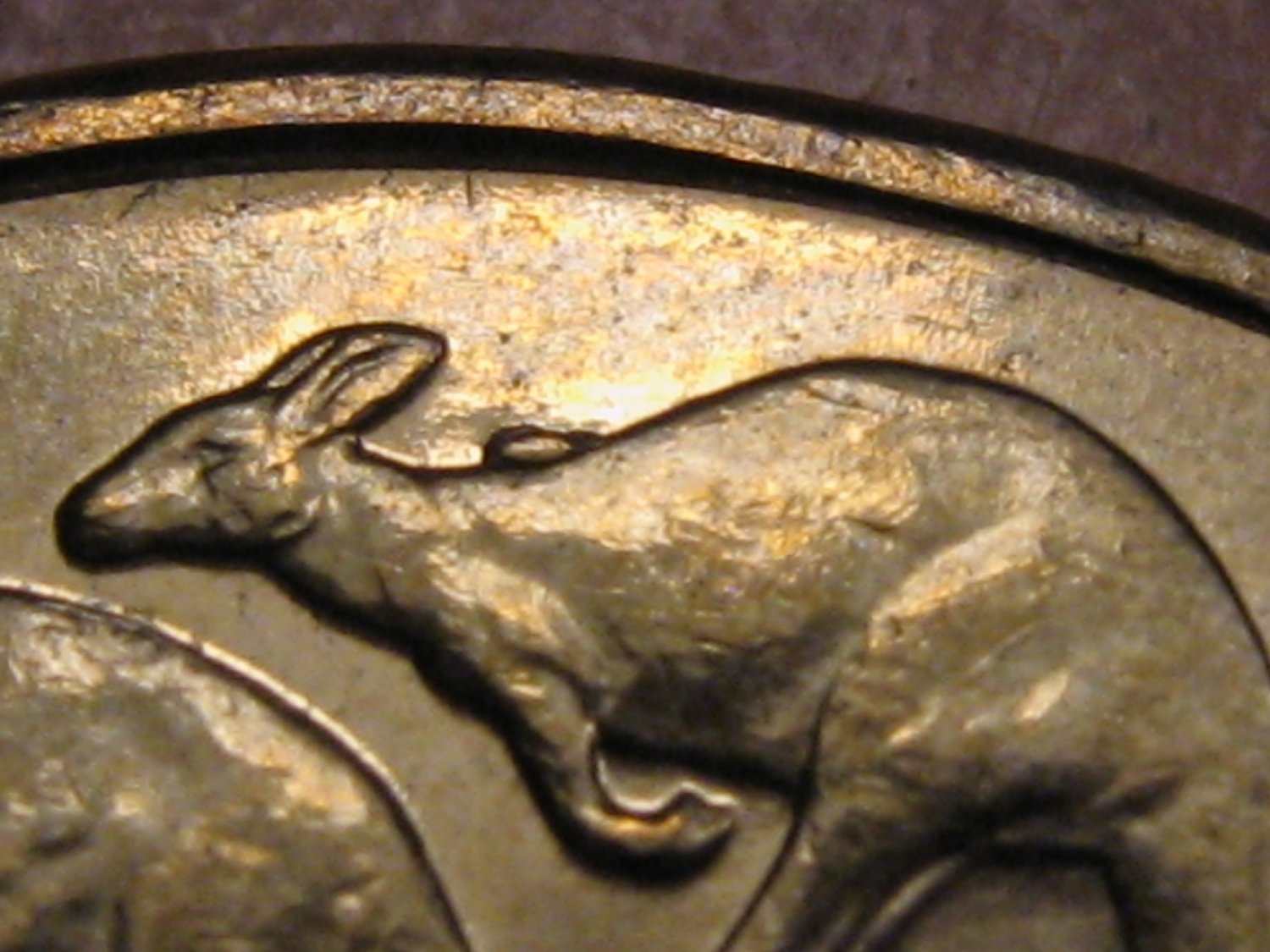 Australian-2019-Competition-1-Dollar-Mint-Errors