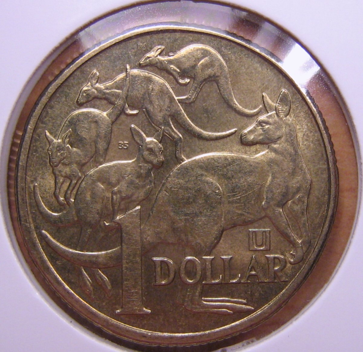 Australian-2019-Competition-1-Dollar-Mint-Errors