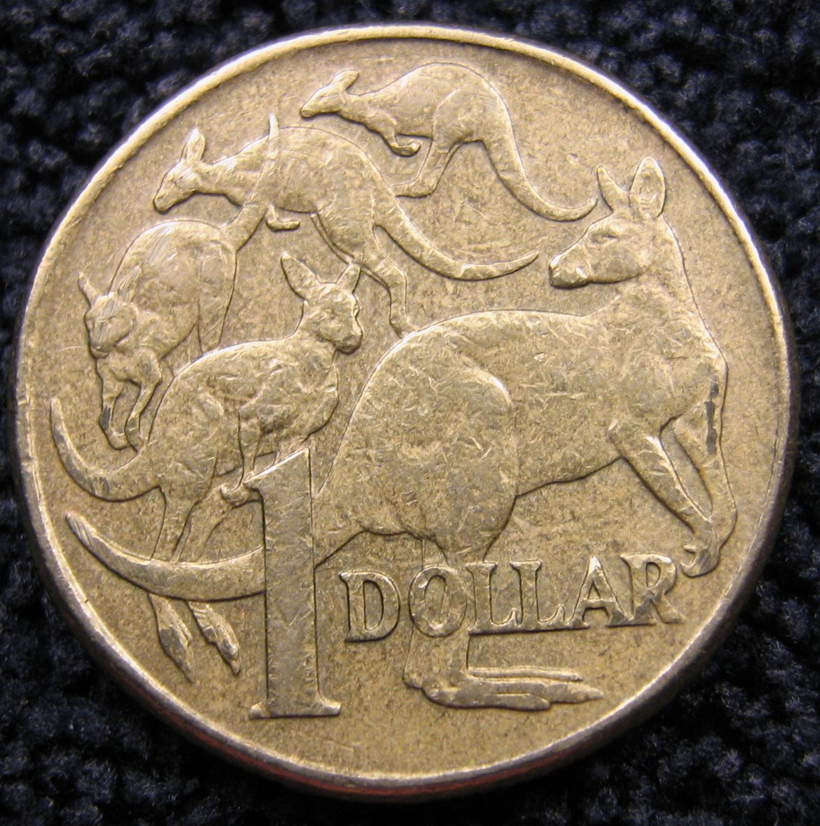 Noodling-Find-Of-The-Week?