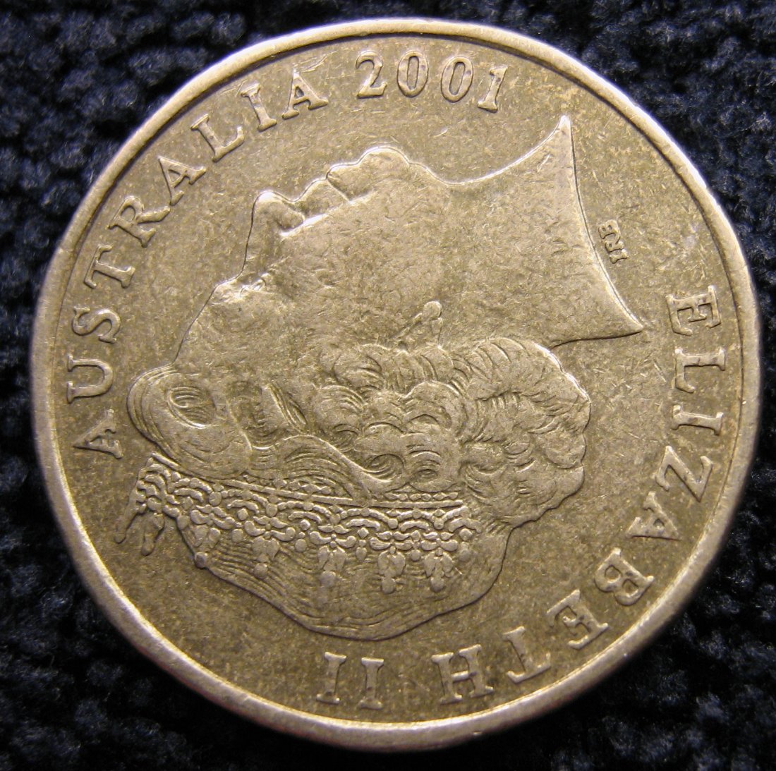 Noodling-Find-Of-The-Week?