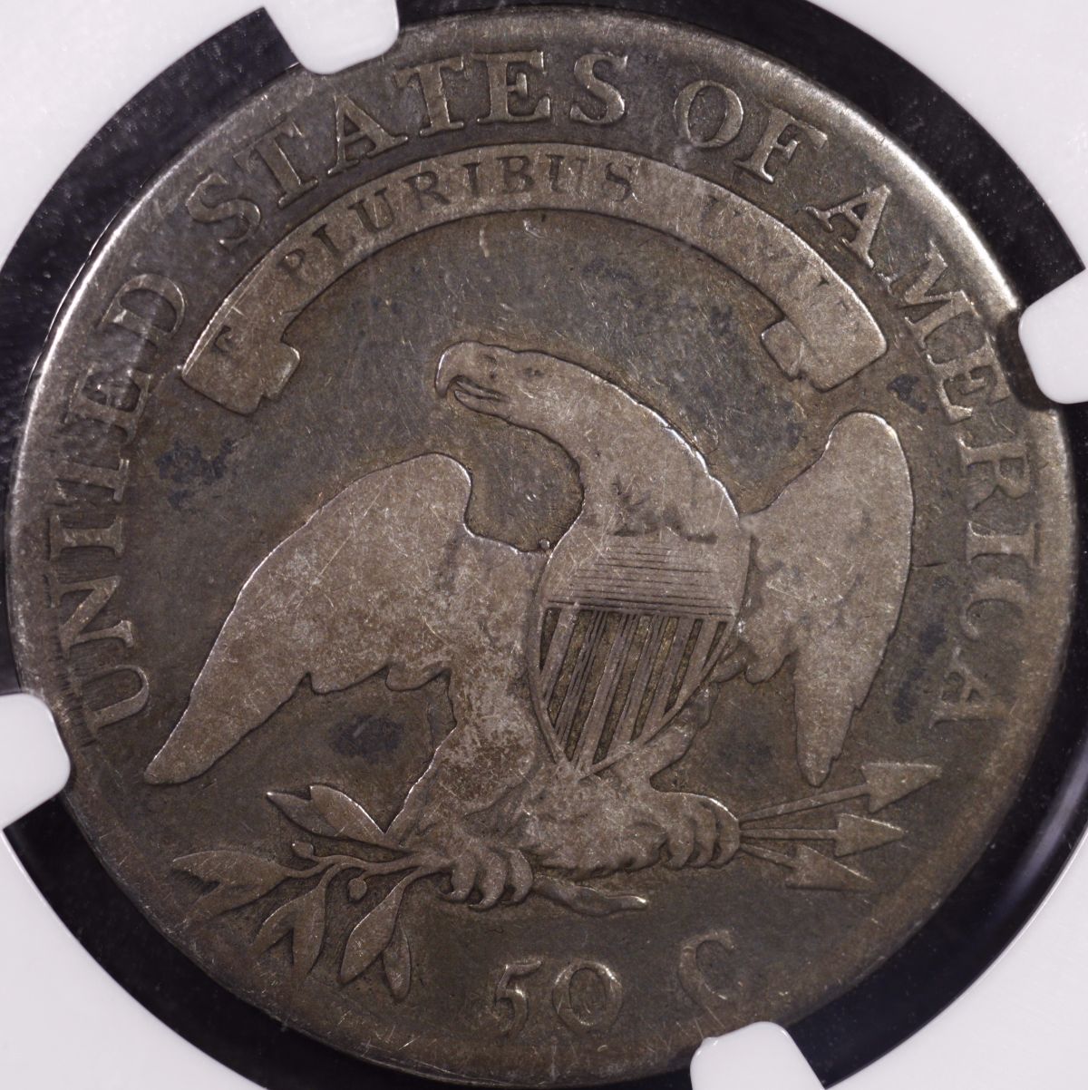 1808-Bust-Half-You-Vs-NGC