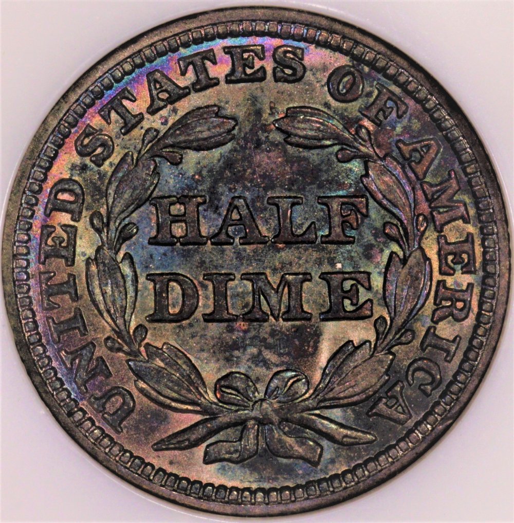 1850-Seated-Half-Dime-You-Vs-NGC