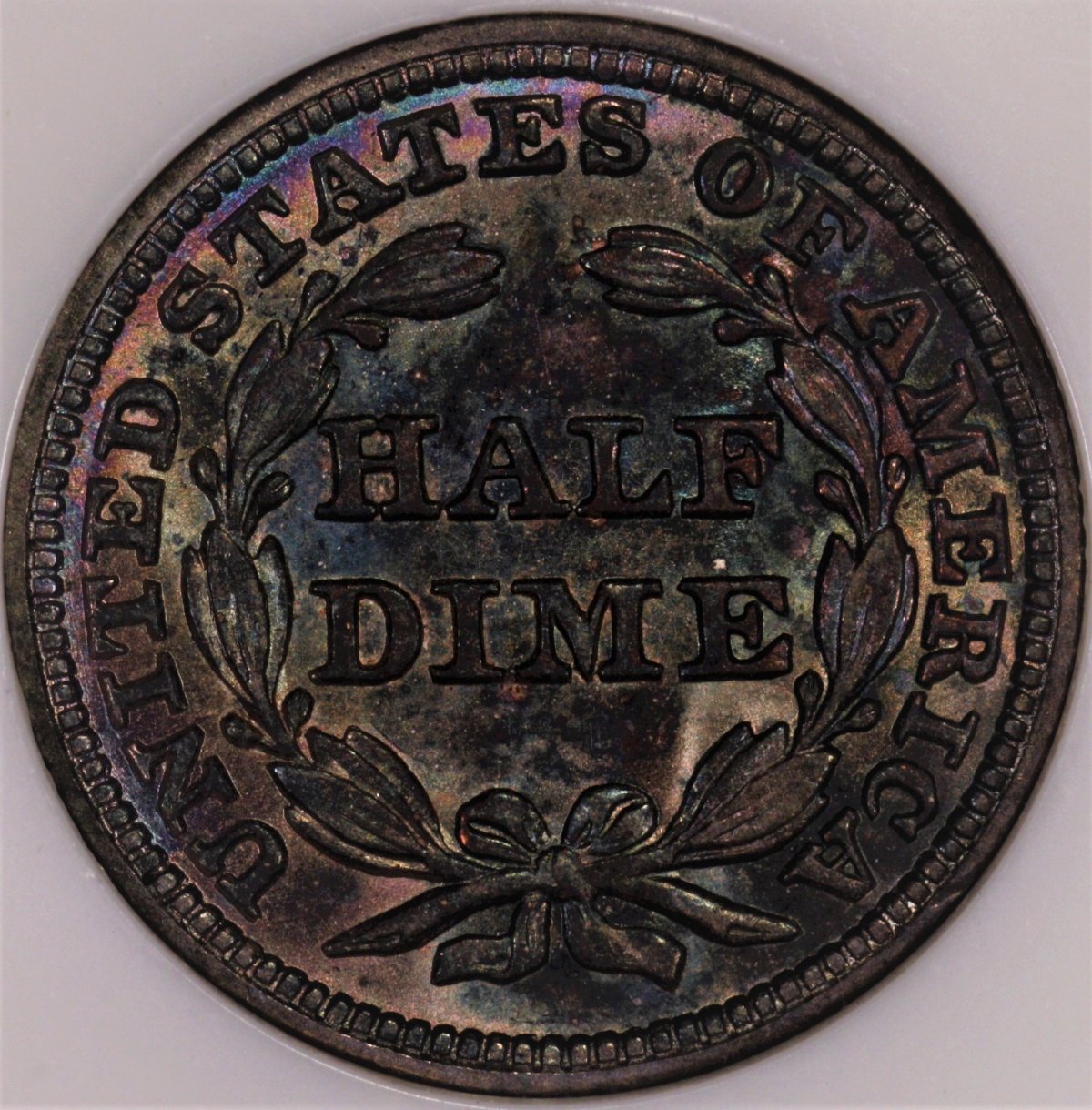1850-Seated-Half-Dime-You-Vs-NGC