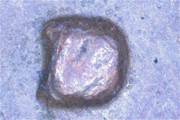 1979-D-MM-Filled----Is-This-A-Variety-Caused-By-A-Die-Chip?