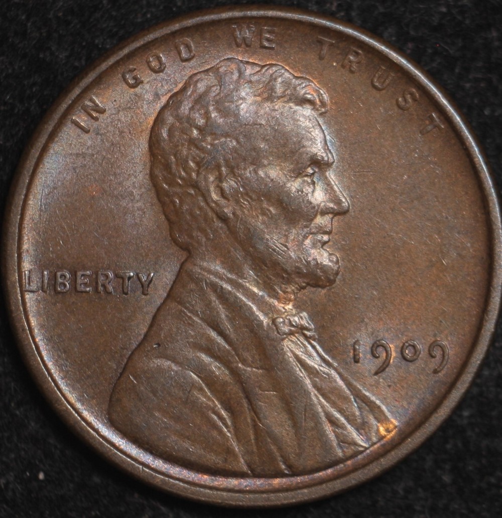 Please-Grade-LWC-1909-VDB-BN