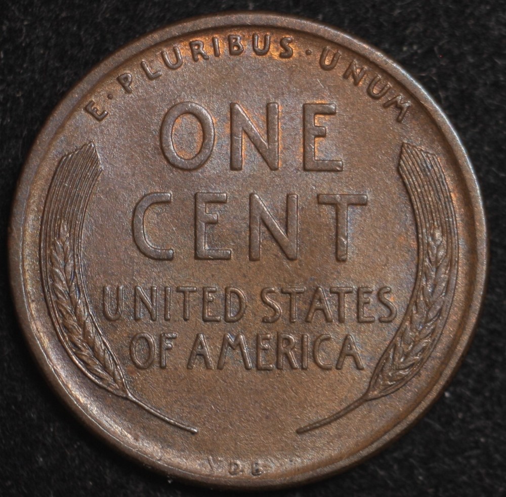 Please-Grade-LWC-1909-VDB-BN