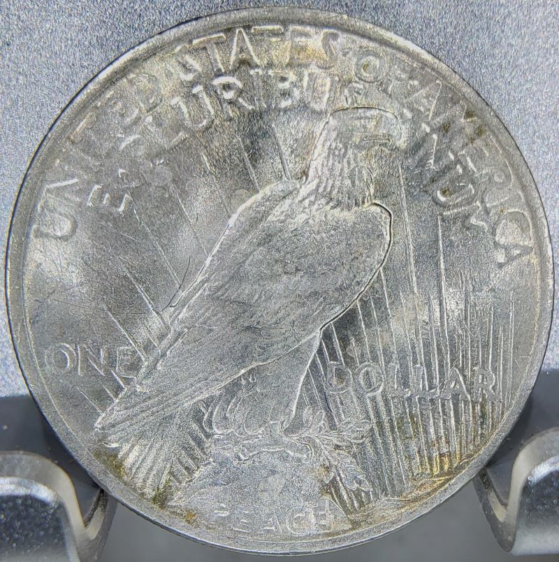 1924-Peace-Dollar,-Grade-Please