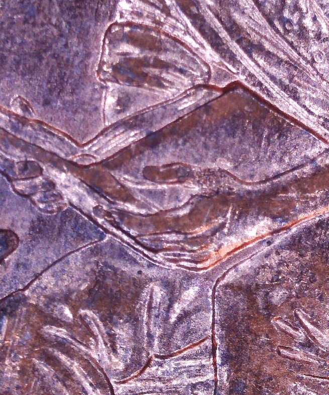 2009-Lincoln-Cent---Formative-Years---02