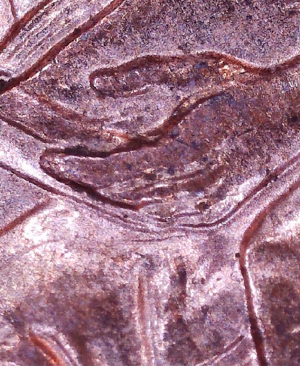 2009-Lincoln-Cent---Formative-Years---01