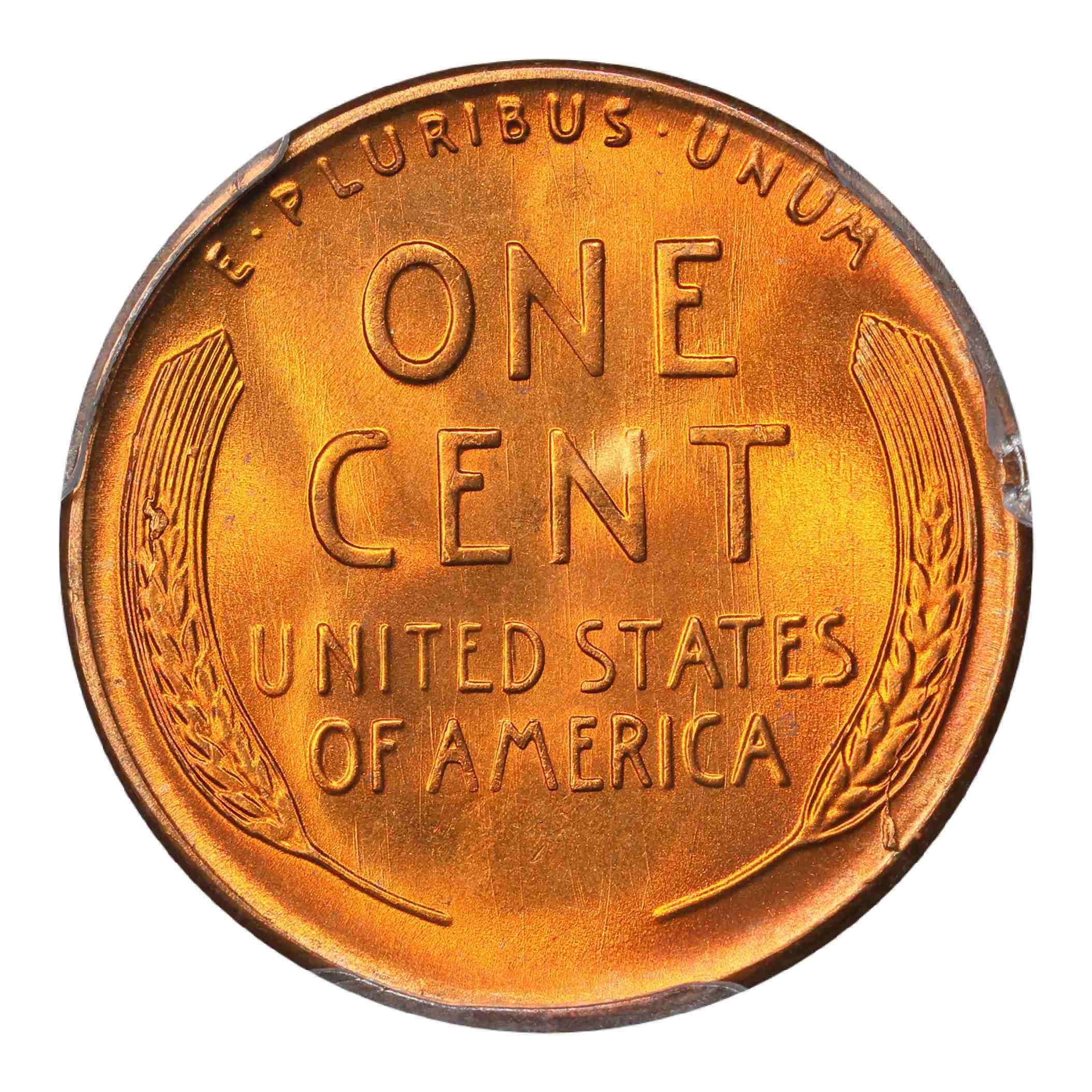1955-S-Lincoln-Cent-Can-It-Get-CAC-Gold