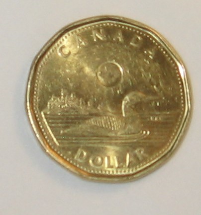 Strange-Looking-2024-Loonie!