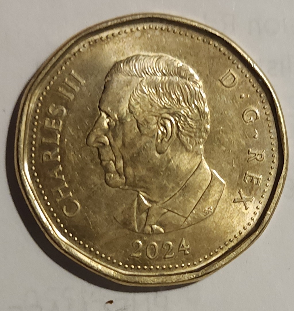 Strange-Looking-2024-Loonie!