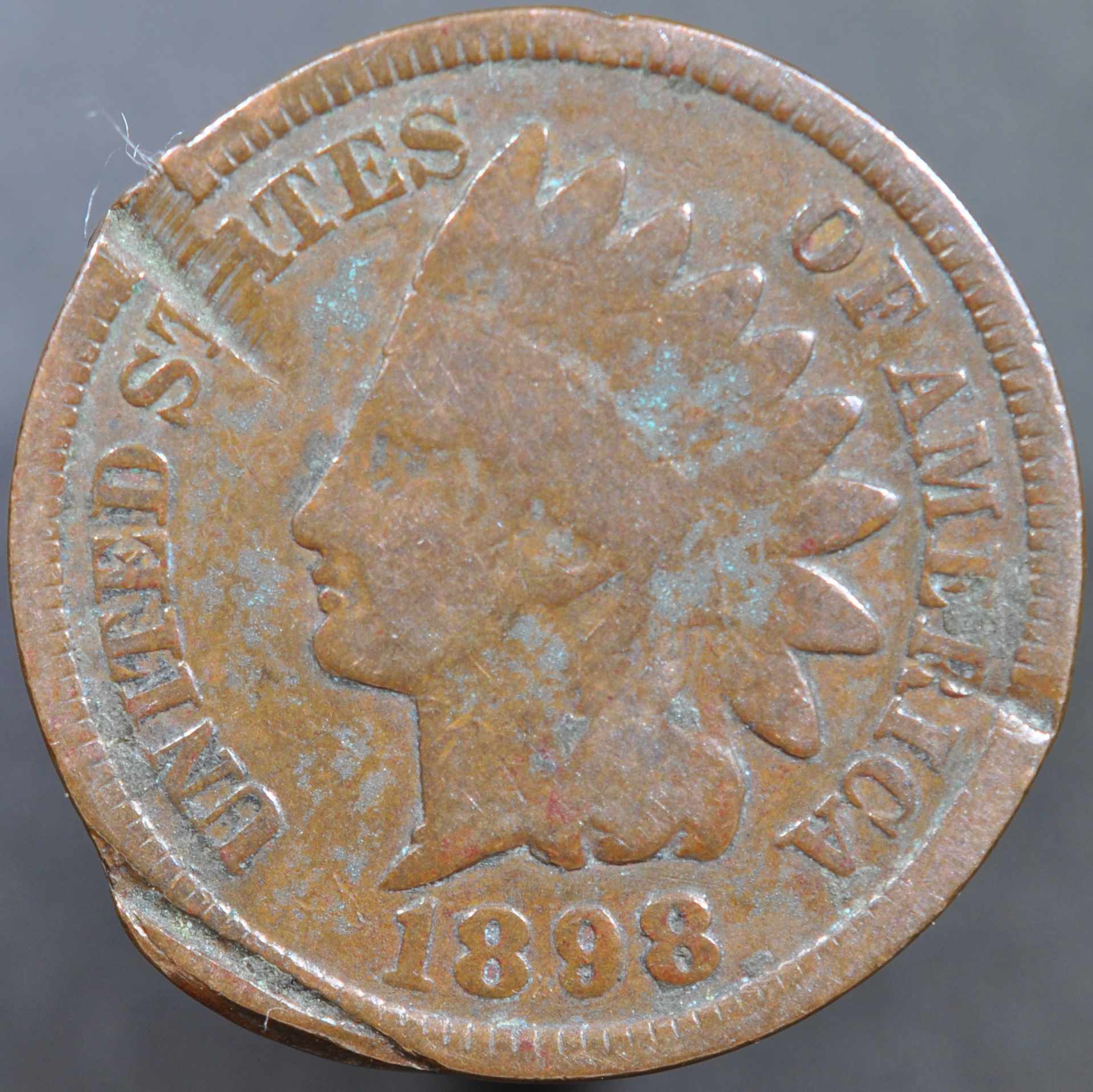 1898-IHC-99%-Sure-PMD---Just-Confirming
