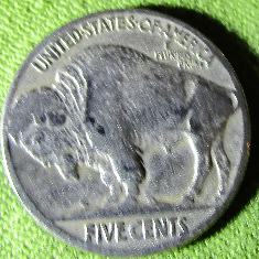 1935-Buffalo-Nickel--One-Roll-Of-Nickels-From-Raley's
