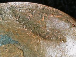 1941-D-Wheat-Penny--Lots-Going-On-PMD,-Lamination-Or-Run-Over-By-Truck