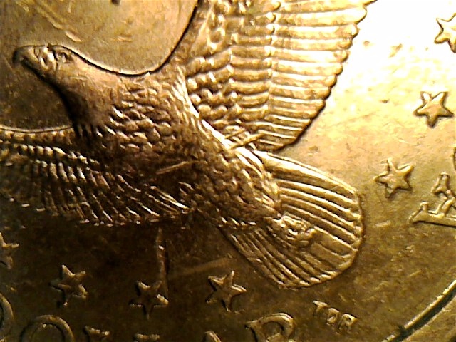 Life-Is-Like-A-Box-Of-Dollars