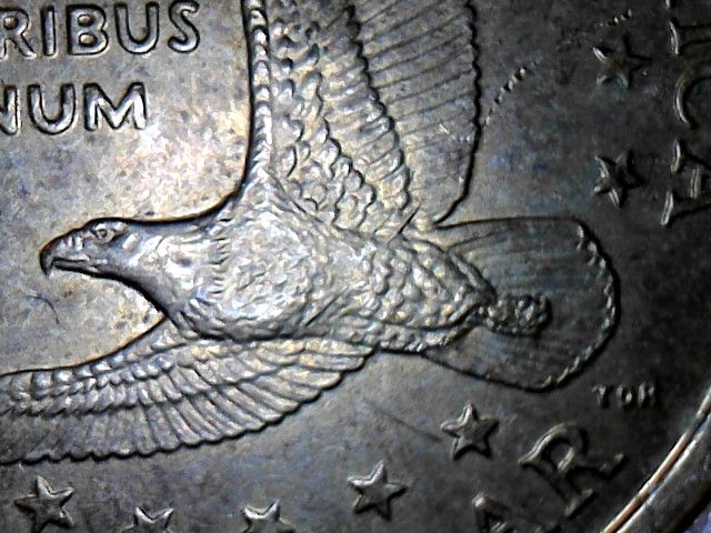 Small-Dollar-Roll-Searching