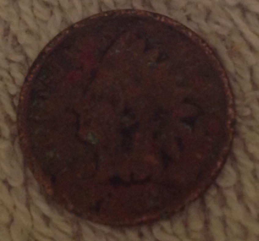 New-Finds....1902-Indian-Head-Penny