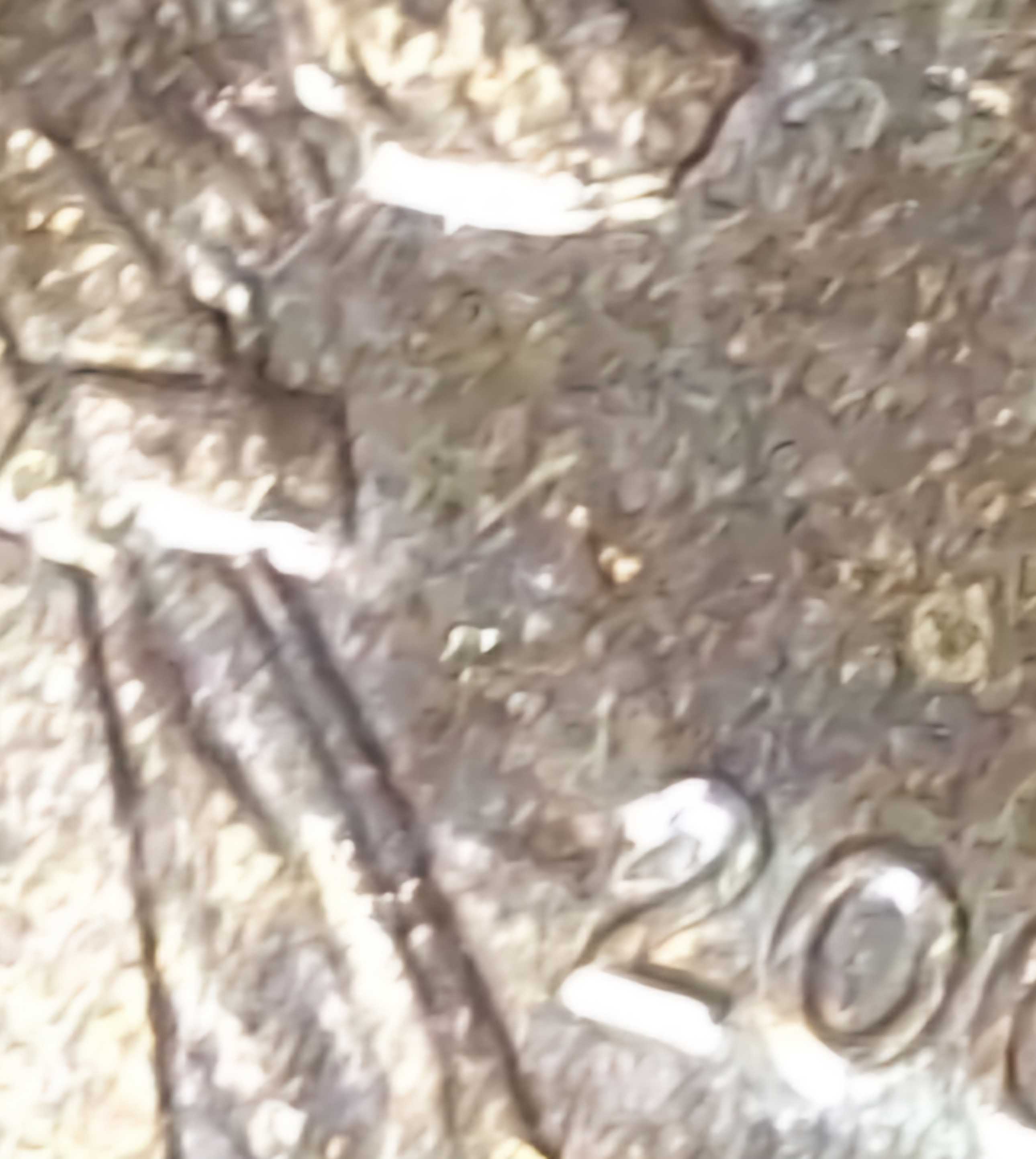 Help!--2005-Penny,-Is-It-A-DDR/-DDO?-Or--Both-Rare-I-Know-?-Also-Has-Weird-Color