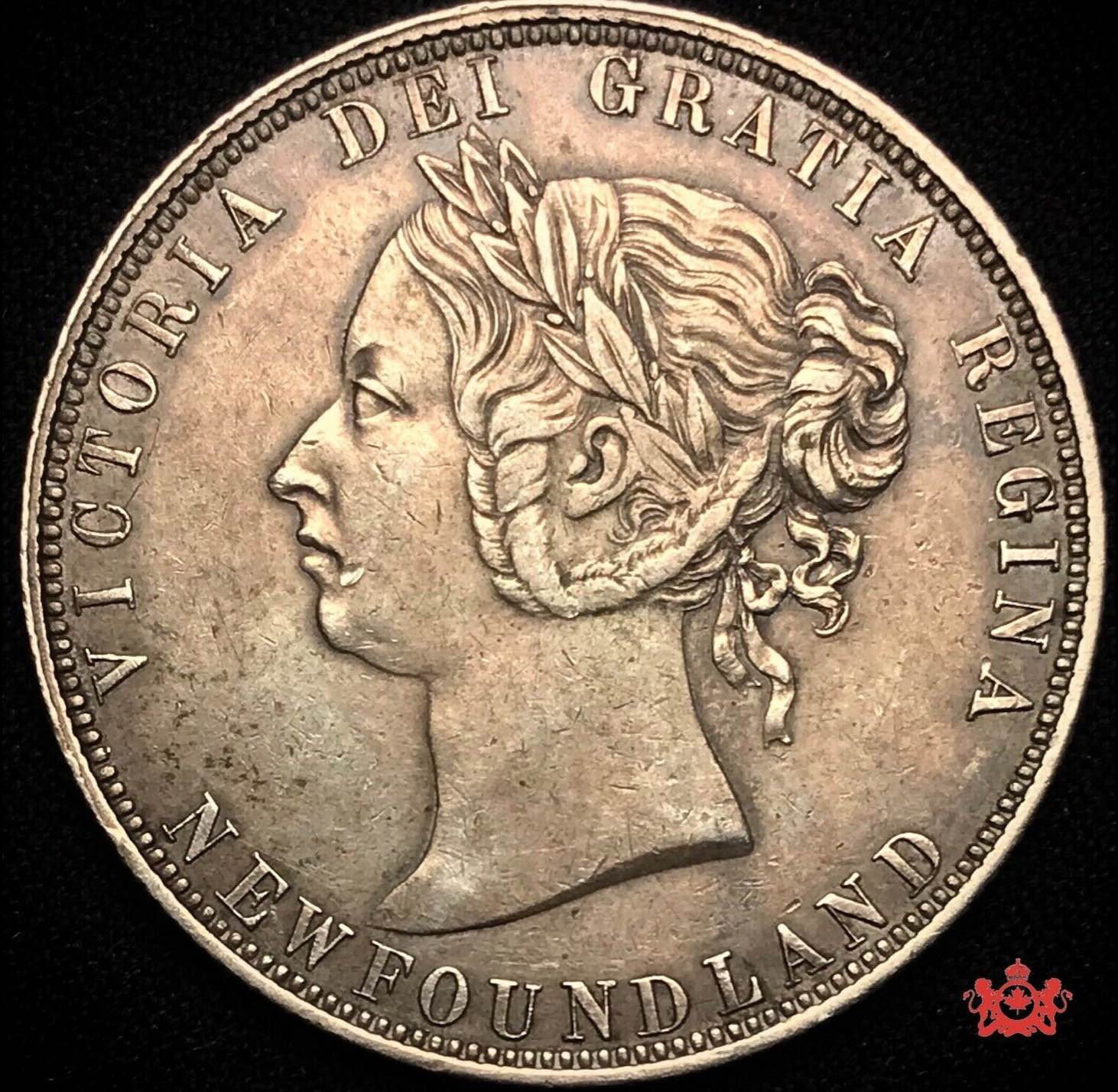 1880-NFLD-50c----Thoughts-On-Grade?