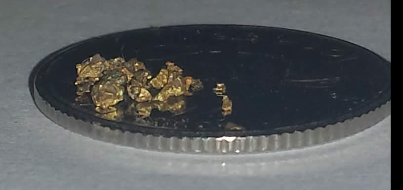 Has-Anyone-Panned-For-Gold?