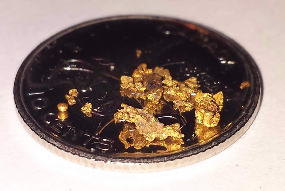Has-Anyone-Panned-For-Gold?