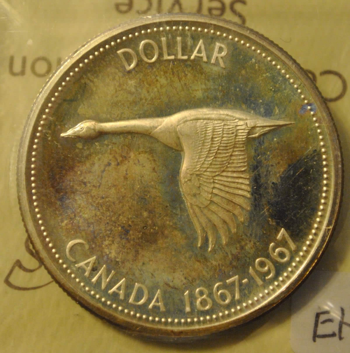 The-31-Days-Of-Canadian-Silver-Dollars