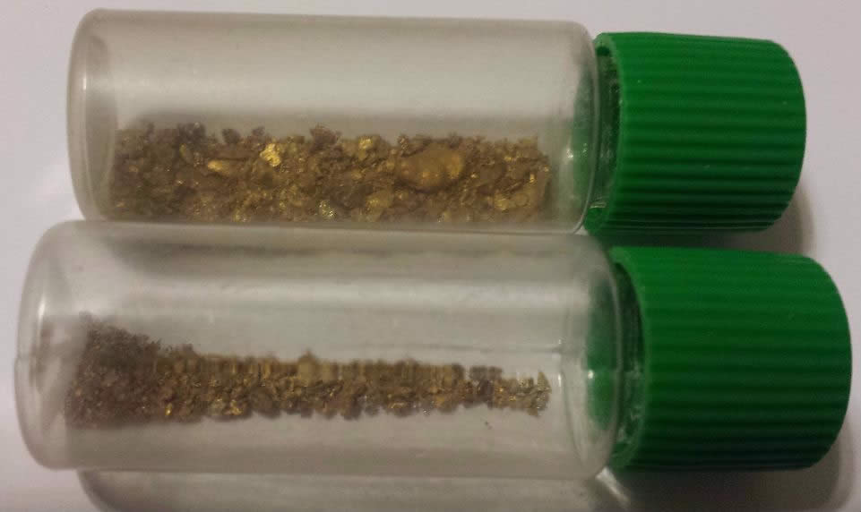 Has-Anyone-Panned-For-Gold?