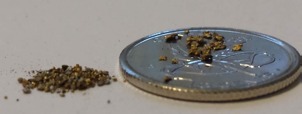 Has-Anyone-Panned-For-Gold?
