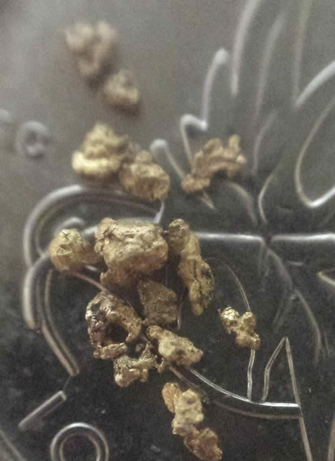 Has-Anyone-Panned-For-Gold?