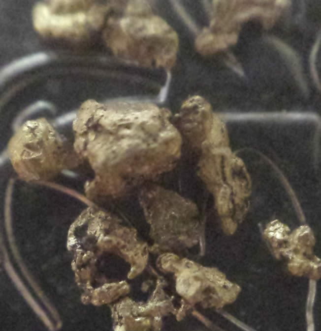 Has-Anyone-Panned-For-Gold?