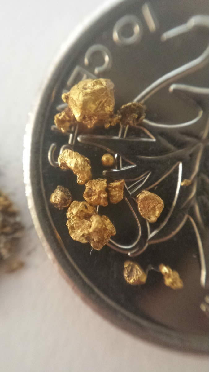Has-Anyone-Panned-For-Gold?