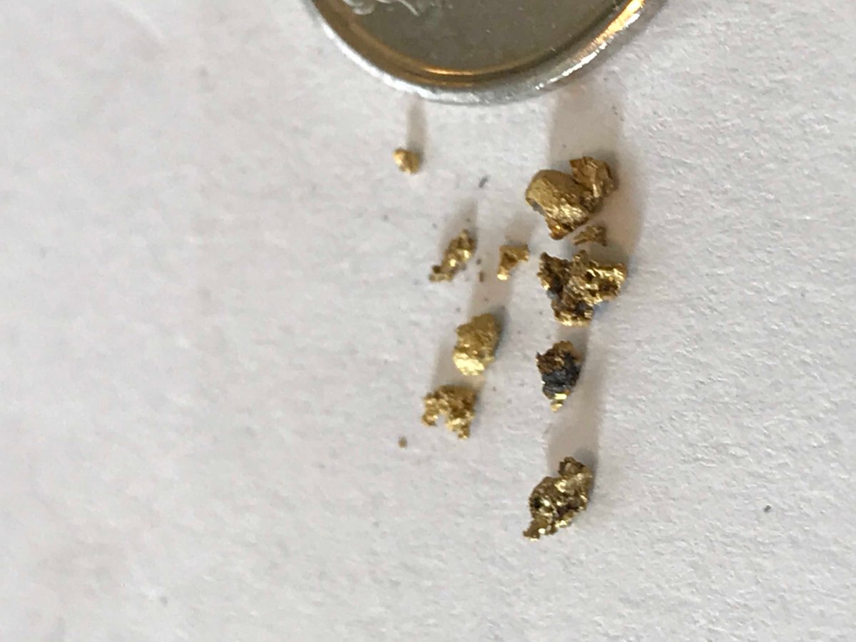 Has-Anyone-Panned-For-Gold?
