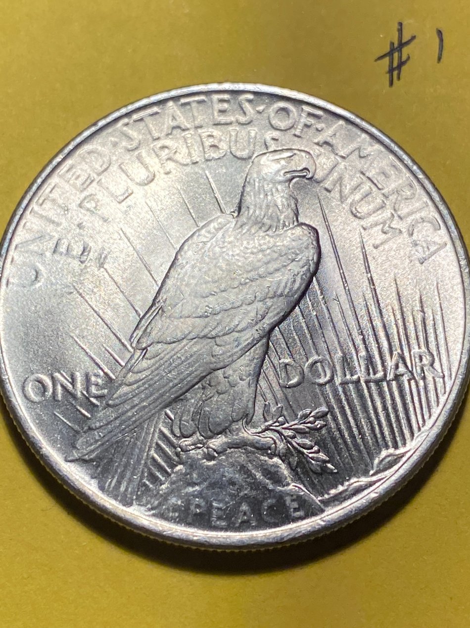 1924-Peace-Dollar-For-Grading-#1.-Update-Photos.-Hopefully-Better.