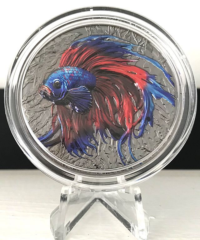 Open-Home-Display-For-Coins