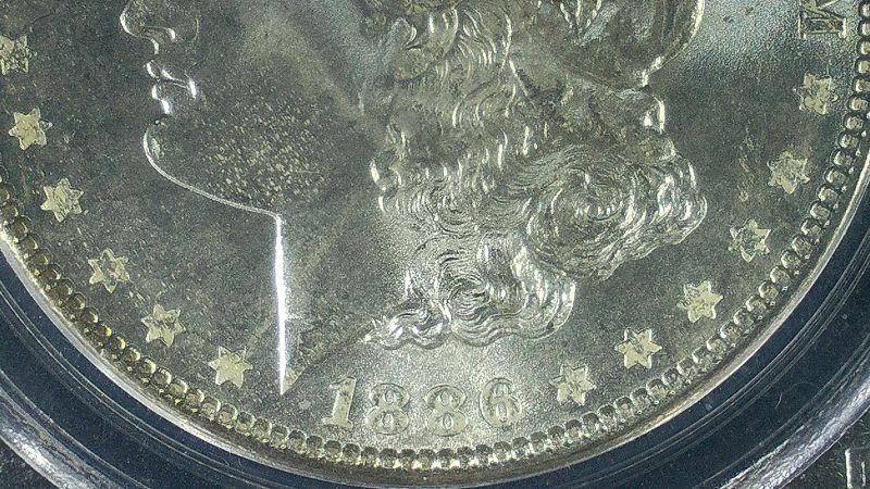 Continuing-List-To-Show-Everyones-Latest-Acquisitions