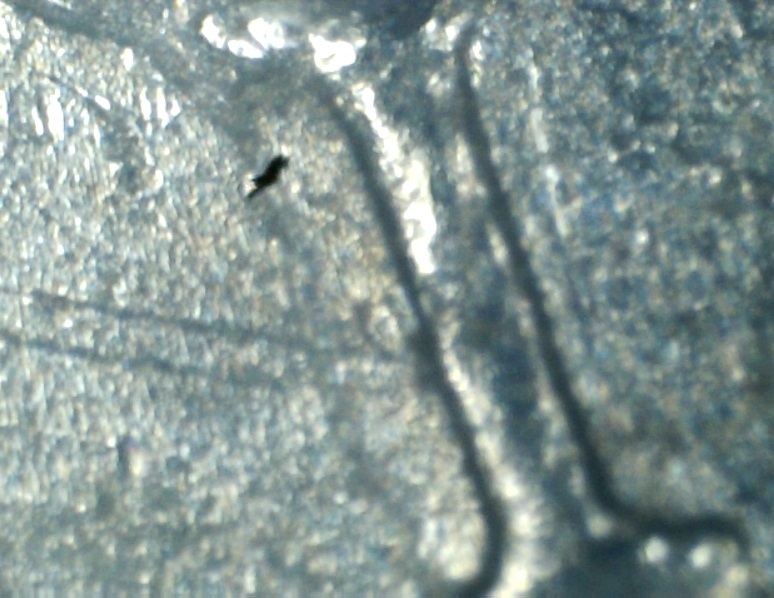 1975-Dime,-Many-Questions
