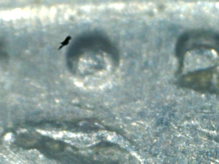 1975-Dime,-Many-Questions