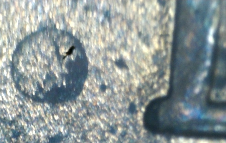 2008-D-Cent-Dot?-Know-Variety?-Or-Hazard?