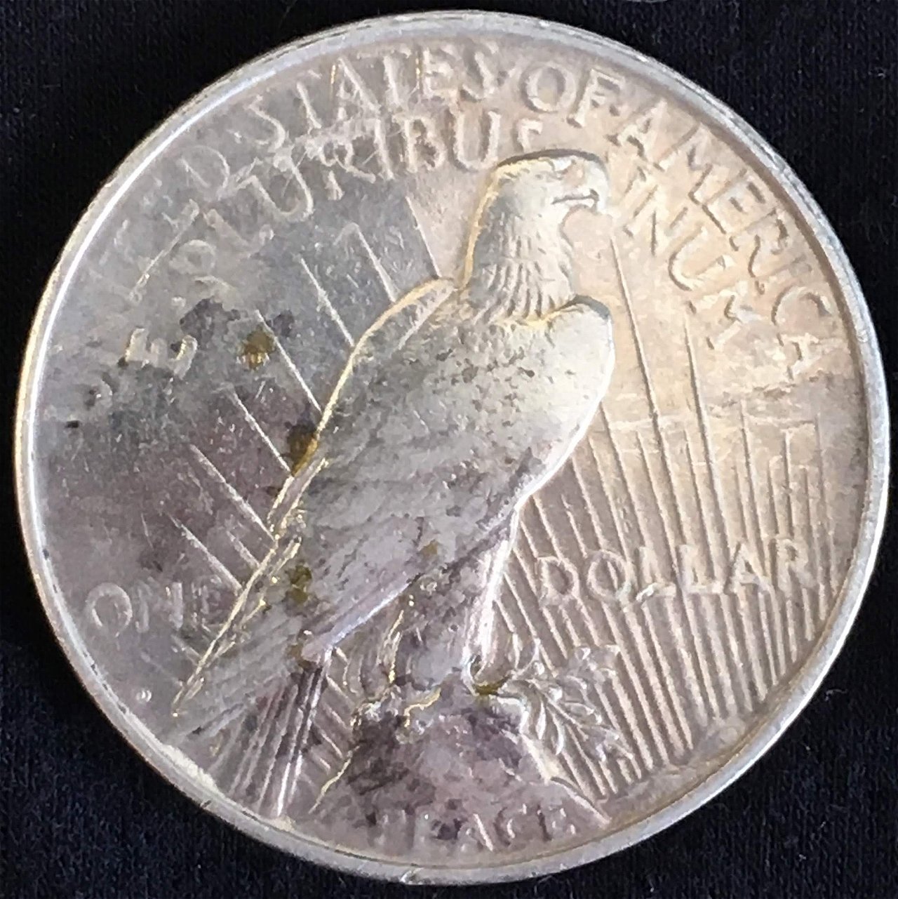 1922-D-Peace-Dollar-For-Your-Opinion