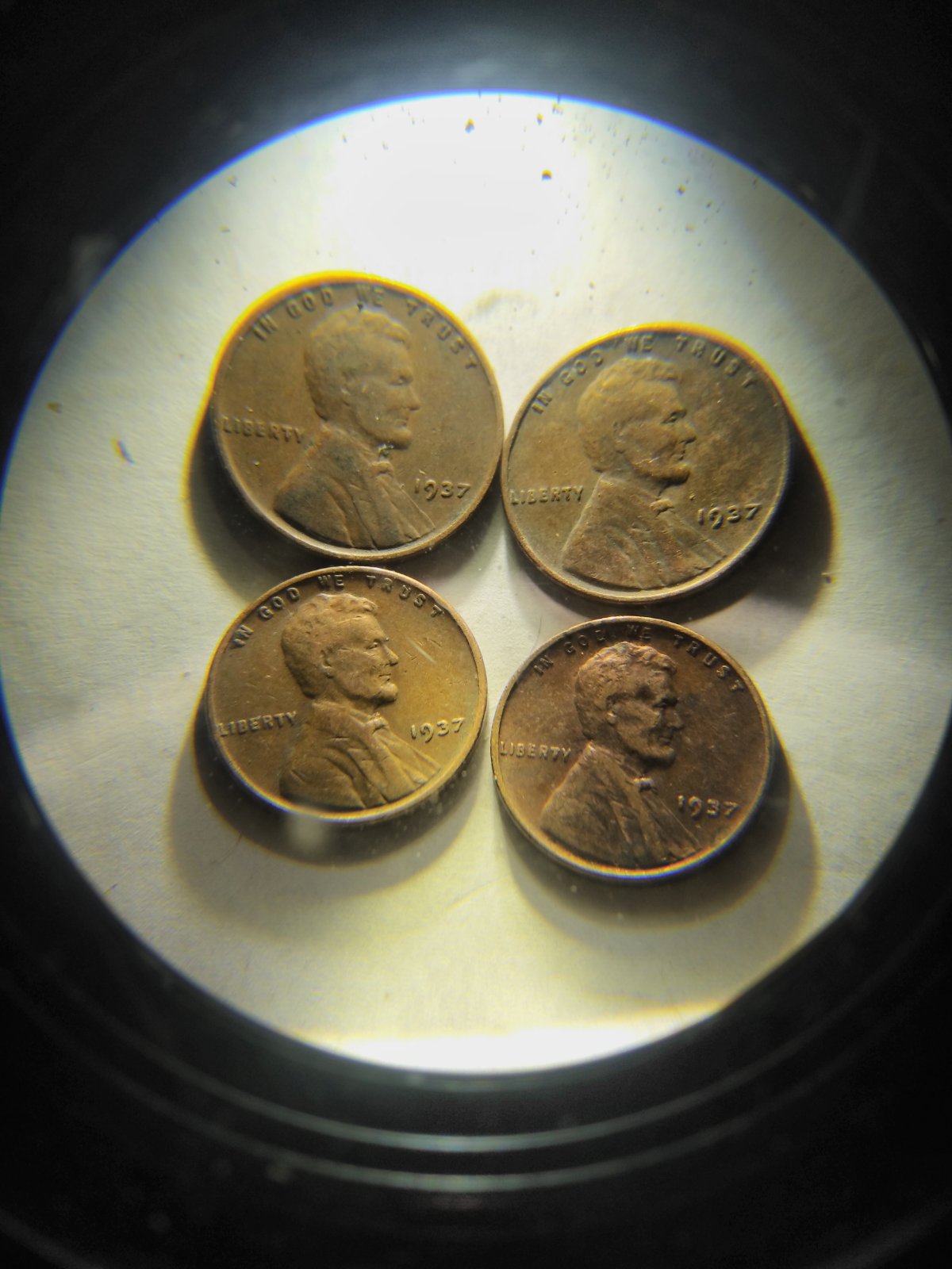 Help-Verify-1937-No-D-Wheat-Penny-Worth-Something