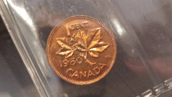 Mis-Attributed-Specimen-Cent?