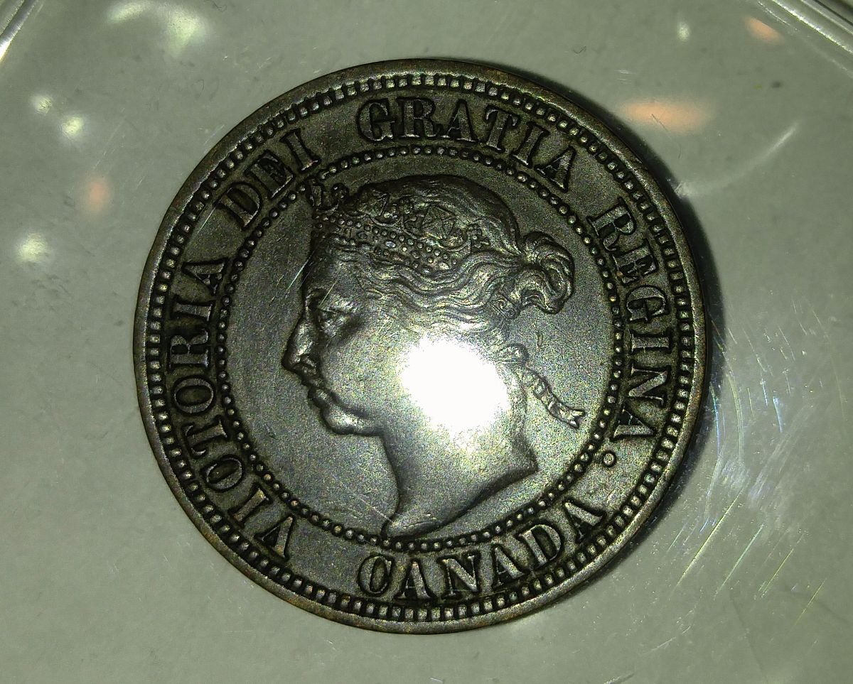 Newly-Purchased-1891-Large-Cent.