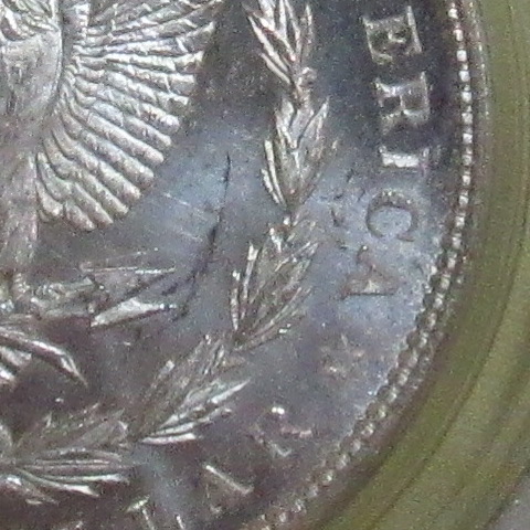 PCGS-Called-This-1878-8TF-Morgan-Silver-Dollar-Cleaned---Do-You-Think-It's-Worth-Resubmitting?