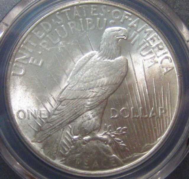 1924-Peace-Dollar-For-Opinions