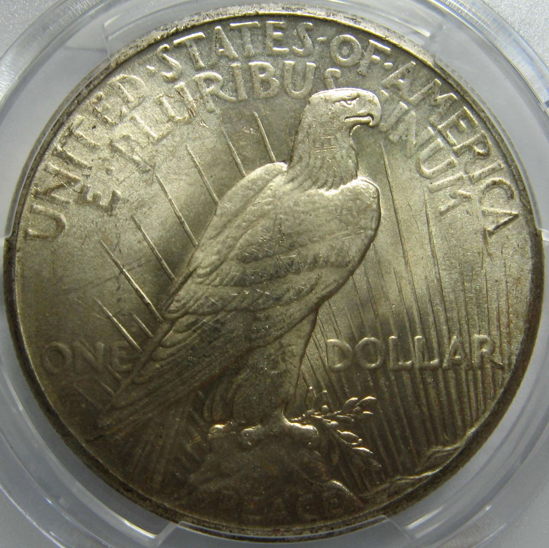 1926-Peace-Dollar-You-Vs-PCGS
