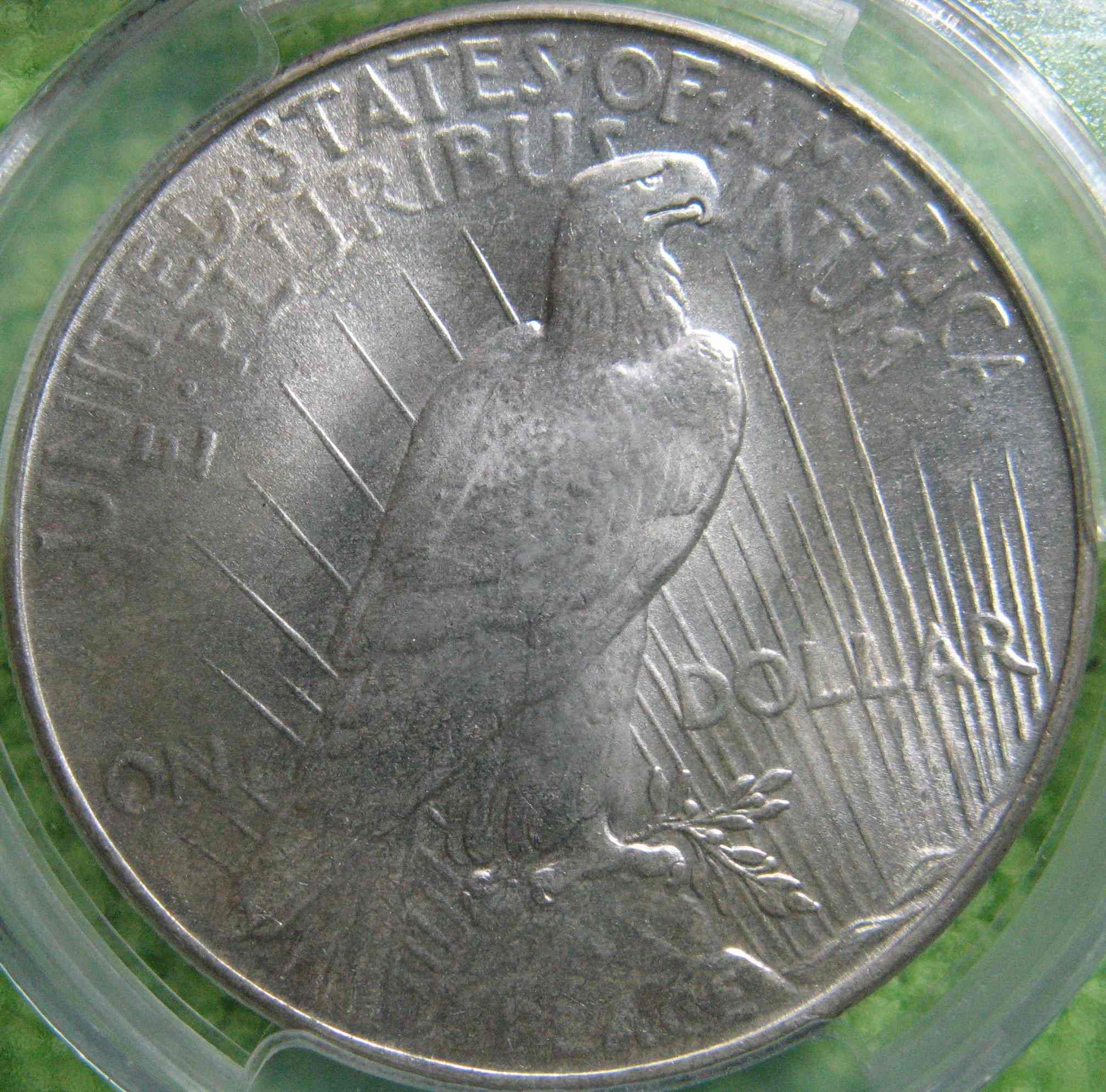 10-Days-Of-Peace-Dollars!